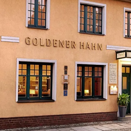 Hotel Goldener Hahn 3*
